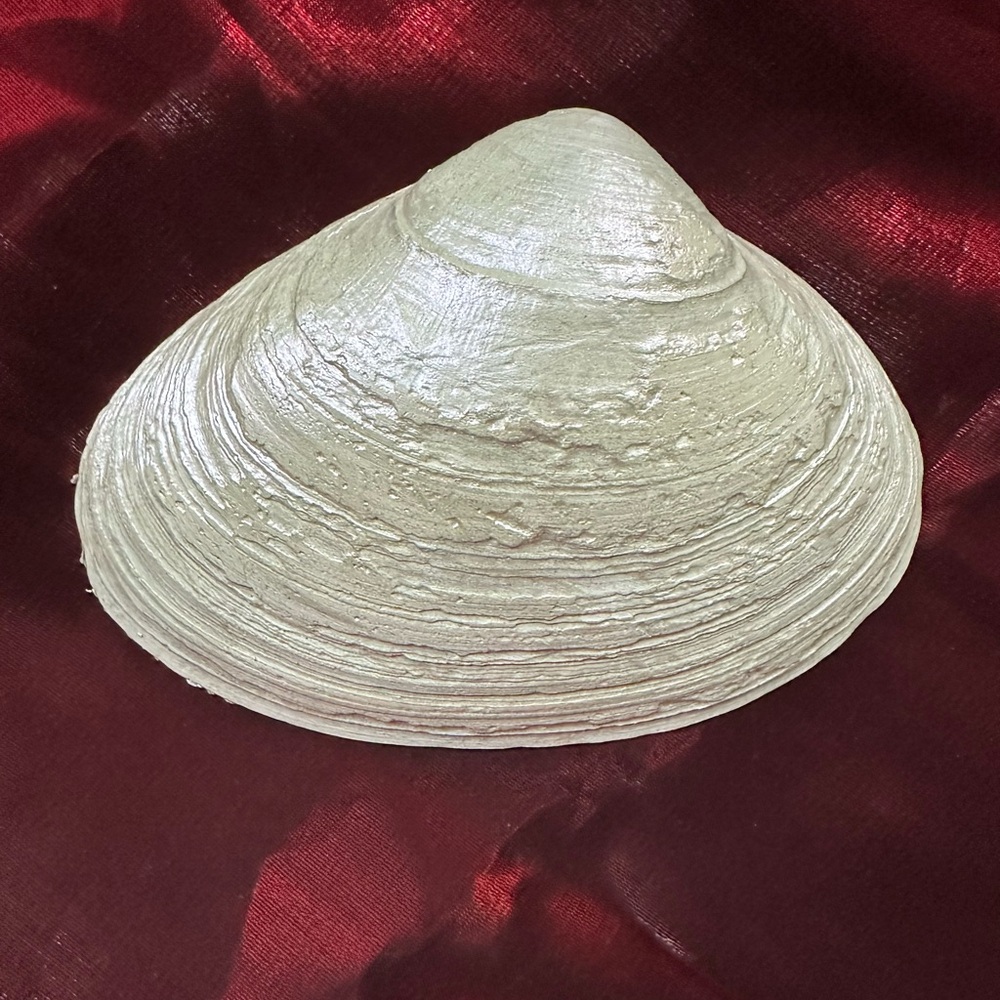 Handmade Shell Dish with Love Script. - Picture 2 of 3